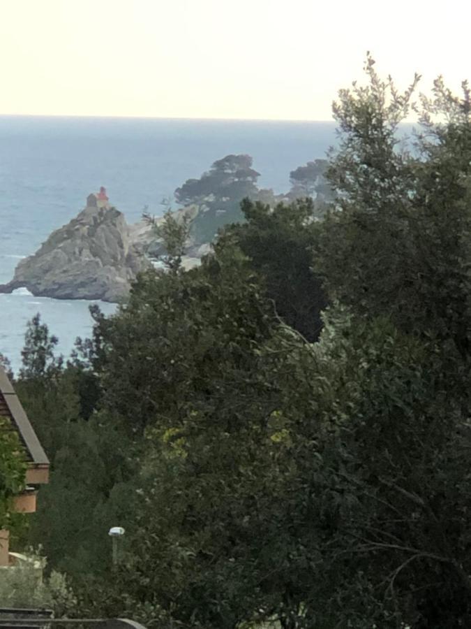 Apartmani Lime Petrovac Buitenkant foto