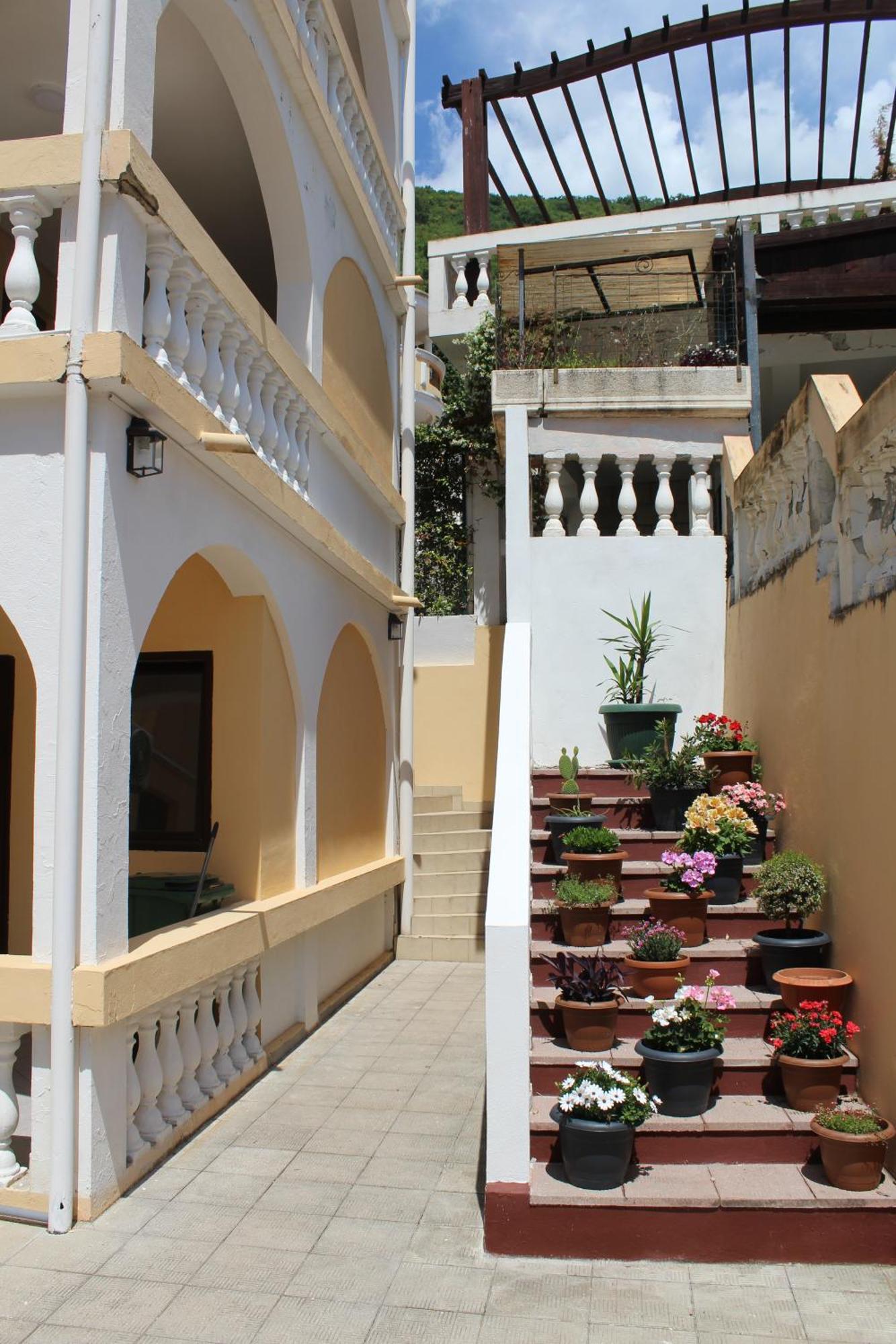 Apartmani Lime Petrovac Buitenkant foto